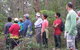 Boronia Tours - thumb 0