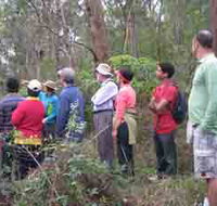 Boronia Tours - Accommodation Redcliffe
