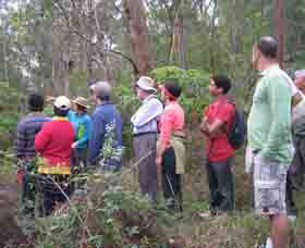 Boronia Tours - Accommodation Redcliffe 0