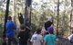 Boronia Tours - thumb 1