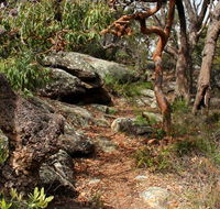 Box Head track - Accommodation Redcliffe