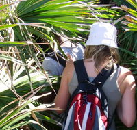 Palm Jungle loop track - Accommodation Redcliffe