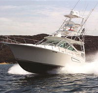 1300 Big Fish - Accommodation Redcliffe
