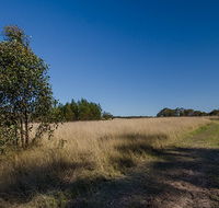 Scheyville horse riding trails - Accommodation Redcliffe