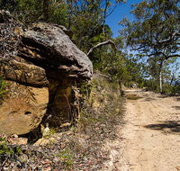 Canoelands Ridge walking track - Accommodation Redcliffe