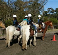 Darkes Forest Riding Ranch - Accommodation Redcliffe