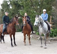 Academy of Dressage - Accommodation Redcliffe
