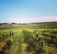 Adelaide Winemakers - Accommodation Redcliffe