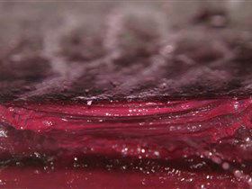 Adelaide Winemakers - Accommodation Redcliffe 2