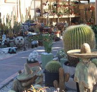 Cactus Creations - Accommodation Redcliffe