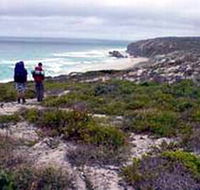 Murray Lagoon - Cape Gantheaume Conservation Park - Accommodation Redcliffe