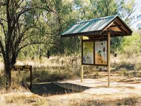 Charleville Self-Drive Itineraries - Accommodation Redcliffe 0