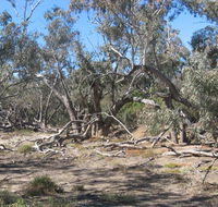 Mirri Mirru Yurun - Accommodation Redcliffe