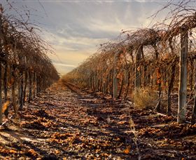 Andrew Peace Wines - Accommodation Redcliffe 2