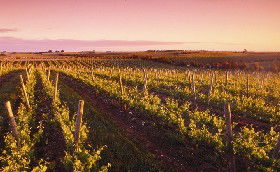Ralph Fowler Wines - Accommodation Redcliffe 0