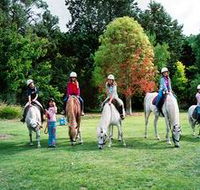Limestone Coast Horseriding - Accommodation Redcliffe