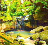 Carnarvon Gorge Carnarvon National Park - Accommodation Redcliffe