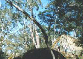 Carapook ACT Accommodation Redcliffe