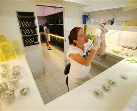 Australian Butterfly Sanctuary - Accommodation Redcliffe 2