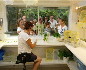 Australian Butterfly Sanctuary - Accommodation Redcliffe 3