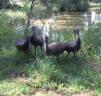 East Tolans Farm Tour - Accommodation Redcliffe