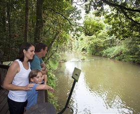 Platypus Viewing At Broken River - Accommodation Redcliffe 1