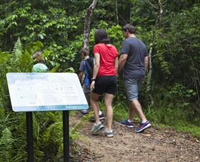 Platypus Viewing At Broken River - Accommodation Redcliffe 3