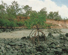 Garig Gunak Barlu National Park - Accommodation Redcliffe 3