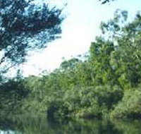 Crawford River Regional Park - Accommodation Redcliffe