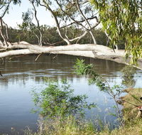 Murray Valley National Park - Accommodation Redcliffe