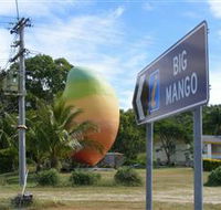 Big Mango - Accommodation Redcliffe