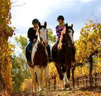 Billabong Ranch - Accommodation Redcliffe