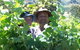 Wimmera Hills Winery - thumb 0