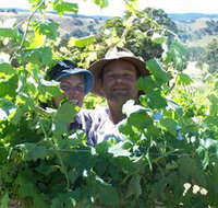 Wimmera Hills Winery - Accommodation Redcliffe