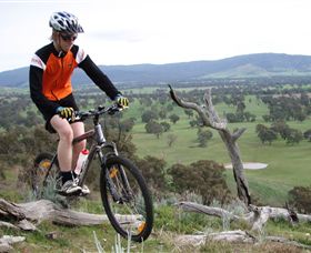 Wimmera Hills Winery - Accommodation Redcliffe 2