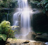 Mount Buangor State Park - Accommodation Redcliffe