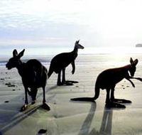Hibiscus Coast - Accommodation Redcliffe