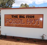 Big Fish Fossil Hut at Peak Hill - Accommodation Redcliffe