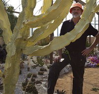 Cactus Country - Accommodation Redcliffe