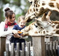 Taronga Western Plains Zoo Dubbo - Accommodation Redcliffe