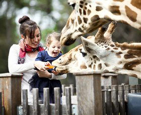 Taronga Western Plains Zoo, Dubbo - Accommodation Redcliffe 0