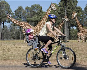 Taronga Western Plains Zoo, Dubbo - Accommodation Redcliffe 2