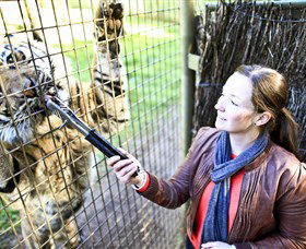 Taronga Western Plains Zoo, Dubbo - Accommodation Redcliffe 3