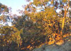 Mount Alexander Regional Park - Accommodation Redcliffe 0
