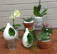 Cobram Florist - Accommodation Redcliffe