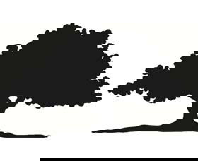 Ariah Park 1920s Heritage Village - Accommodation Redcliffe 3