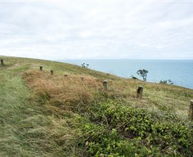 Cape Palmerston National Park - Accommodation Redcliffe 3