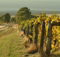 Captains Creek Organic Wines - Accommodation Redcliffe