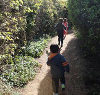 The Tangled Maze  Mistydowns Nursery - Accommodation Redcliffe