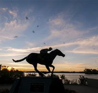 Black Caviar Statue - Accommodation Redcliffe